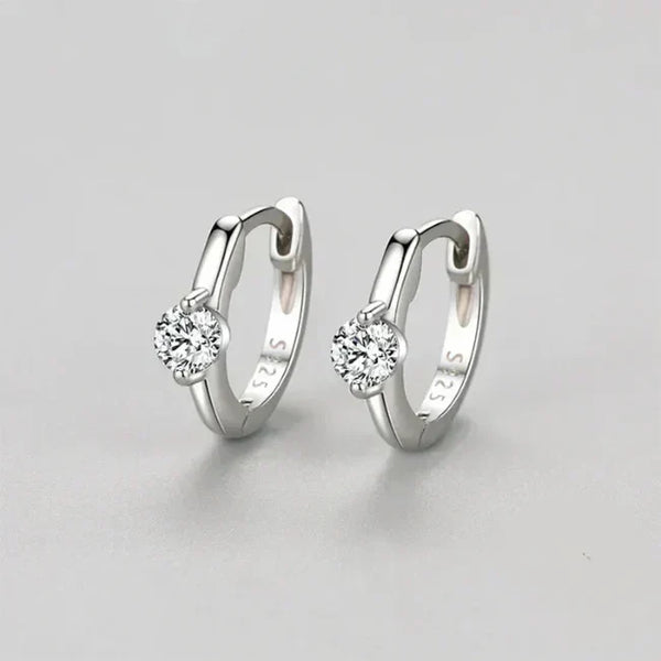 Crystal Elegance Zircon Earrings - TM & Co. Jewels