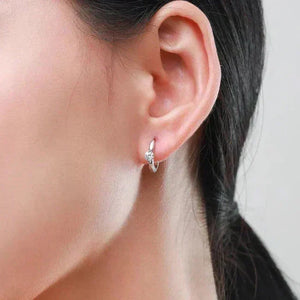 Crystal Elegance Zircon Earrings - TM & Co. Jewels