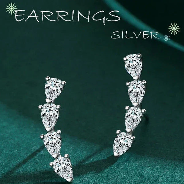 Silver earrings on a green background with text indicating 'Earrings Silver'.